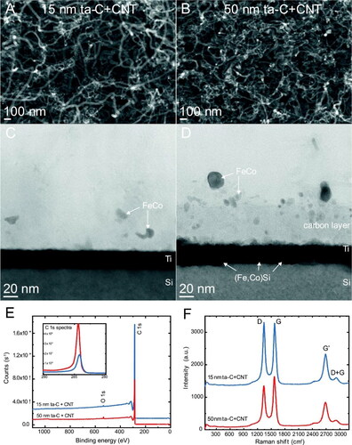 Figure 10. (A, B) SEM images of long MWCNTs grown on 15 nm and 50 nm ta-C films. (C, D) cross-sectional TEM micrographs of MWCNTs deposited on 15 and 50 nm ta-C films. (E) XPS wide spectra (with C 1s spectra as insets) and (F) Raman spectra of the MWCNTs deposited ta-C film samples [Citation140]. Copyright 2018, reprinted with permission from Elsevier.