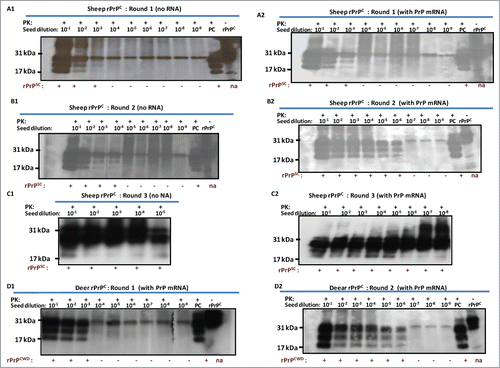 Figure 4. For figure legend, see page 399.