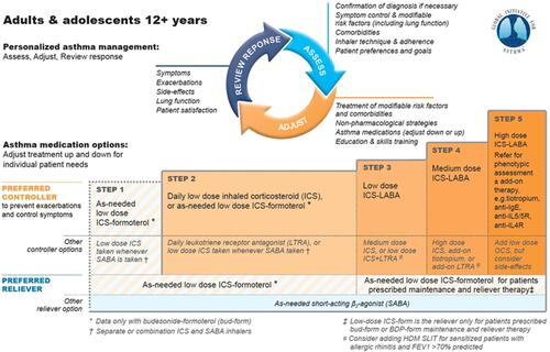 Figure 1 Medication options for asthma.Notes: ©2020 Global Initiative for Asthma, reprinted with permission. Available from www.ginasthma.org.Citation8Abbreviations: ICS, inhaled corticosteroid; SABA, short-acting beta2-agonist; LTRA, leukotriene receptor antagonist; LABA, long-acting beta2-agonist; IgE, immunoglobulin E; IL5, interleukin 5; IL5R, interleukin 5 receptor; IL4R, interleukin 4 receptor; OCS, oral corticosteroid.