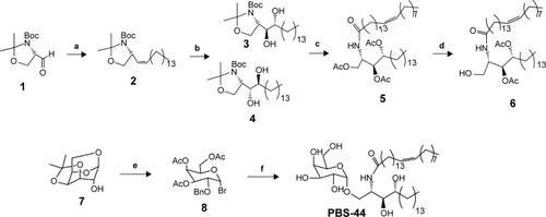 Figure 1 Design and synthesis of a novel αGalCer analog PBS-44.Notes: (a) Ph3P=CH(CH2)12CH3, THF (60%); (b) OsO4, N-methylmorpholine N-oxide, t-BuOH, H2O (70% for 3, 28% for 4); (c) HCl, THF; MeOH; HO2C(CH2)12CH=CH(CH2)7CH3, dicyclohexylcarbodiimide, N-hydroxysuccinimide, THF, dimethylamino pyridine (47%); (d) sodium methoxide, MeOH; tert-butyldimethylsilyl chloride, imidazole, THF (57%); (e) AC2O, TFA; HBr, AcOH, methylene chloride (40%); (f) AgOTf, 4Å mol sieves, methylene chloride, H2, Pd/C, EtOAc, EtOH, sodium methoxide, MeOH (85%).Abbreviation: αGalCer, α-galactosylceramide.