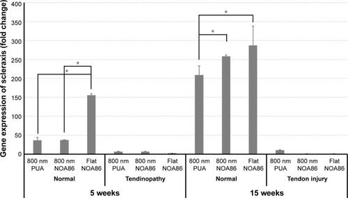 Figure 5 Gene expression of scleraxis increased in TDSCs cultured on the flat NOA86 substrate in the 5-week normal tendon model (*P<0.01).Notes: In the 15-week normal tendon model, scleraxis was highly expressed in TDSCs cultured on the 800 nm and flat NOA86 substrate (*P<0.01). However, the gene expression was not significantly different between the substrates in the 5-week tendinopathy and 15-week tendon injury models.Abbreviations: NOA86, Norland Optical Adhesive 86; PUA, polyurethane; TDSCs, tendon-derived stem cells.