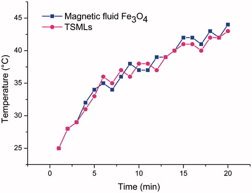 Figure 1. Time-dependent heating curve of the suspension of magnetic fluid Fe3O4 and TSMLs upon the application of AC magnetic field of 10 kA/m operating at 423rkHz.