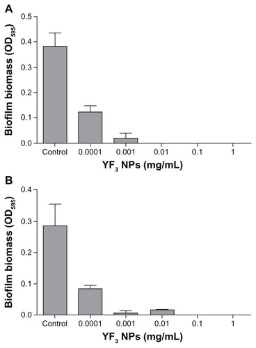 Figure 6 Antibiofilm properties of YF3 NPs.Notes: Biofilm formation quantified after overnight incubation for (A) Escherichia coli and (B) Staphylococcus aureus exposed to variable concentrations (0.0001 to 1 mg/mL) of YF3 NP solutions for 24 hours at 37°C.Notes: Untreated bacteria served as a control. Error bars represent the standard deviation of three independent experiments. The results were found to be statistically significant (P < 0.05) between control versus NP-treated cells in all treatments.Abbreviations: NP, nanoparticle; OD595, optical density at 595 nm; YF3, yttrium fluoride.