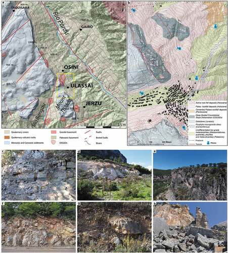 Figure 2. a) Geolithological sketch map of the study area based on geological data of the Autonomous Region of Sardinia. The Yellow box indicates the location of the study area. b) detailed geological map modified from Demurtas et al. (Citation2021a). c) Metamorphic basement, fractured metasandstone and quartzites. Transitional and marine Mesozoic succession:(d) Genna Selole Formation (siliciclastic – carbonate deposits and clays);(e)dolostone of massive Dorgali Formation. Rock-fall deposits: (f) Cemented; (g) Quiescent; (h) active.