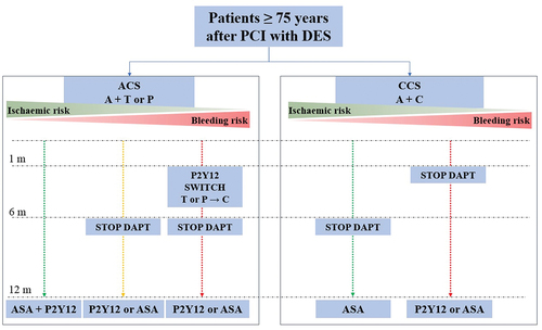 Figure 2. Proposed antiplatelet algorithm in older adults after PCI with DES.