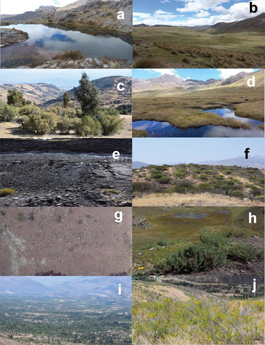 Figure 2. The different land covers identified in the present study. (a) lake; (b) high Andean grassland; (c) forest plantation; (d) wetlands; (e) rocky outcrop; (f) scrubland; (g) bare soil; (h) high Andean scrubland; (i) Croplands; and (j) scrubland of Dodonaea viscosa jacq.