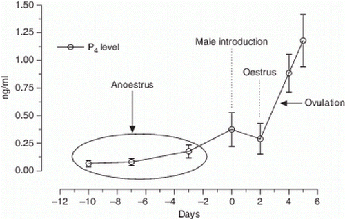 Figure 1.  Serum progesterone concentration (ng/ml) in relation to ovine oestrus and ovulation induced by ‘male effect’.
