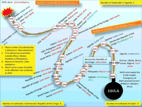 Figure 4. Historical timeline of Ebola virus. The number of outbreaks in Sudan, the Democratic Republic of Congo, Uganda, and Tai Forest are dipcted.