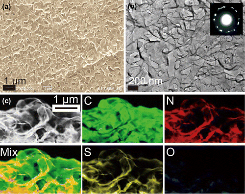 Figure 6. (a) and (b) Representative SEM and TEM images of the 3D nanoporous graphene, respectively. (c) EELS chemical maps of the C, N, and S elemental distributions in the doped nanoporous graphene. (Adapted from Ref. [Citation90]. © Wiley-VCH Verlag GmbH & Co. KGaA, Weinheim.).