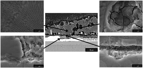 5. Images (BSE–SEM) of Mg–AZ31/Cu–Ni/Ti–6Al–4V joint interface after bonding at 515°C and 0·35 MPa for10 min