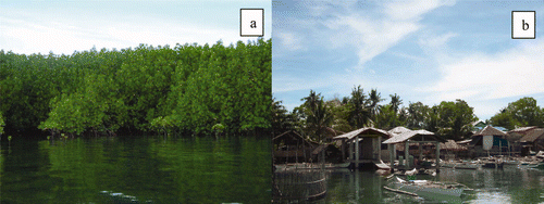 Figure 2. General view of Banacon Island. a, mangrove plantations mainly composed of bakawans or Rhizophora sp; b, local community.