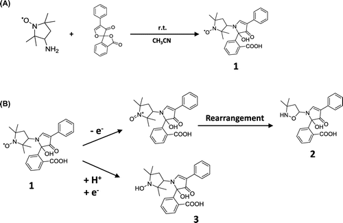 Figure 1. Synthetic and reaction schemes of the probe. (A) Synthetic scheme of pre-fluorescent probe (1). (B) Reaction scheme of probe (1). (1) was oxidized, then rearranged to (2) and recovered fluorescence. (1) was reduced to (3) and recovered fluorescence. In accordance with the report by Jia and colleagues, compounds (2) and (3) were characterized by LC/MS and their m/z were 395 and 473, respectively.