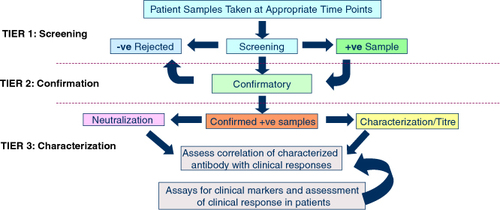 Figure 1. Tiered Approach for Clinical Immunogenicity Assessment.Adapted from EMA Guidelines [Citation8].