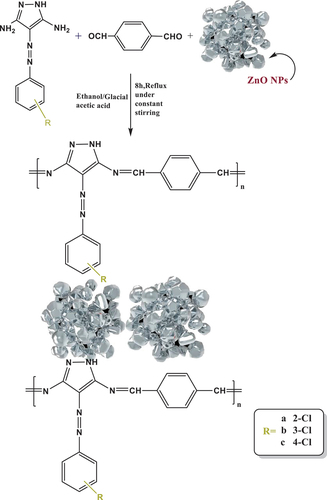 Figure 7. Fabrication of PAZm/Py/ZnOa-c.