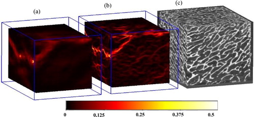 Figure 2. Equivalent strain distribution results of the cancellous bone sample (for final loading stage). (a) using classical DVC, (b) using H DVC, (c) 3 D reconstruction of the sample. White arrows indicate the micro-cracks.