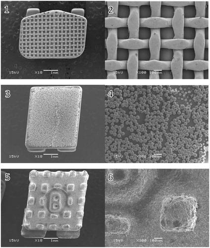 Figure 1. Scanning electron microscope images of the bracket bases. (1, 2) metal bracket with a mesh base design, magnification X18 and X100; (3, 4) ceramic bracket with small spheres on the base, magnification X18 and X100; (4, 5) polycarbonate bracket with large protuberances on the base, magnification X18 and X100.