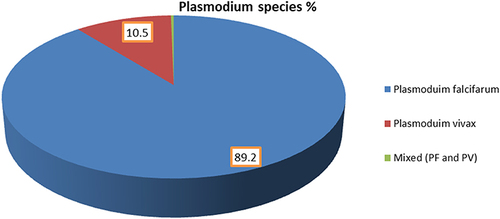 Figure 3 Pie chart illustrating the number of Plasmodium species in the Nono Benja woreda, Jimma Zone, Ethiopia, malaria outbreak, 2020.
