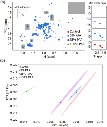 Figure 7. 2D PCA analysis of mAb1 reference and oxidized samples. (A) Representative 2D 1H-13C methyl NMR spectra of Met oxidized mAb1 samples and the control. Excipient peaks and noise regions are excluded from the analysis and shown in gray. One replicate from each condition is shown. The zoomed view of Met Hε-Cε region are stacked on the right. The Met H-C peaks gradually disappear with an increasing PAA percentage. (B) PCA score plot of PC1-PC2 from analysis of the methyl group region. The ellipses represent 95% confidence region. The explained variance is labeled on the axis.