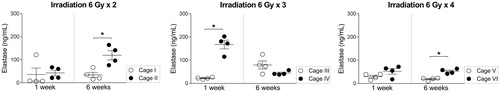 Figure 3. Cage influence of the level of Elastase at 6 Gy irradiation. Error bars are shown as mean ± SEM, *p < .05 (Mann–Whitney test).