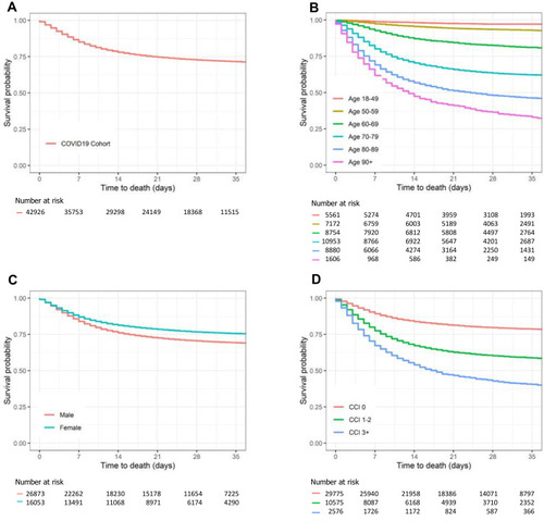 Figure 1 Kaplan–Meier survival curves for hospitalized COVID-19 patients in Northern Italy, 21 February–21 April 2020. (A): overall; (B): stratified by age groups; (C): stratified by sex at birth; (D): stratified by the Charlson Index.