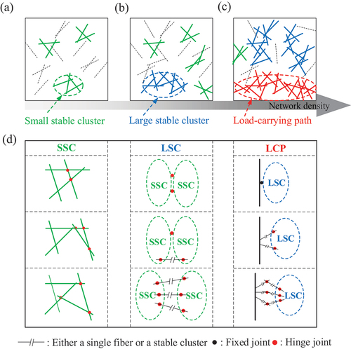 Figure 2. (a-c) The stiffness percolation process of 2D network with the increase of network density and (d) basic forms of small stable clusters (SSC), large stable clusters (LSC) and load-carrying paths (LCP).