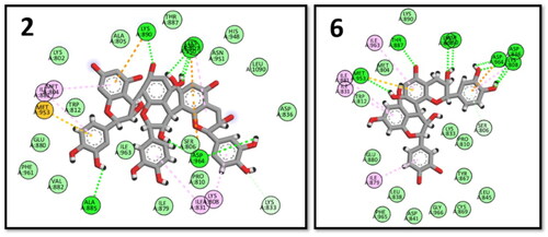 Figure 11. 2D interactions of procyanidin C2 (2) and procyanidin B3 (6) within PI3K binding pocket.