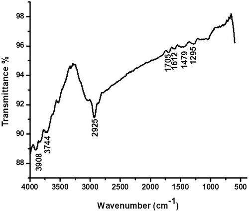 Figure 4. Fourier transforms infrared (FTIR) spectroscopy analysis of AuNPs synthesized from Magnolia officinalis.