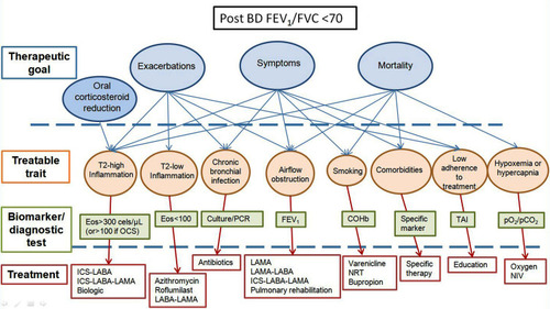 Figure 1 Conceptual approach to treatment of CAD.