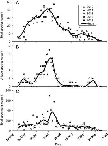 Figure 2. Total number of adult caddisfly species caught per sampling date (A), number of species caught only on a single date per year (B), and total number of specimens (C). Markers indicate actual date of sample. Means were calculated per week.