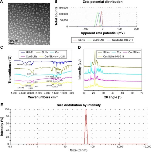 Figure 1 Transmission electron microscopy images of Cur/SLNs-HU-211 (A); zeta potential measurements for HU-211, SLNs, Cur, Cur/SLNs, and Cur/SLNs-HU-211 (B); Fourier transform infrared spectra (C); X-ray powder diffraction pattern of SLNs, Cur, Cur/SLNs, and Cur/SLNs-HU-211 (D); and dynamic light scattering study of Cur/SLNs-HU-211(E).Abbreviations: Cur/SLNs-HU-211, curcumin and HU-211 coencapsulated solid lipid nanoparticles; HU-211, dexanabinol; SLNs, solid lipid nanoparticles; Cur/SLNs, Cur-loaded SLNs; Cur, curcumin.