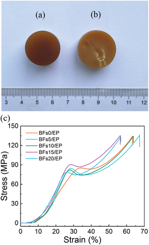 Figure 6. Quasi-static compressive experiment specimen: (a) compressive sample before test, (b) compressive sample after test and (c) stress–strain relationships of the BFs/epoxy resin matrix composites.