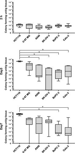 Figure 2. E. coli proliferation in subcutaneously xenografted tumours. Graphs show the viable bacteria concentration in HCT116, U-87 MG, A549, SK-OV-3, BxPC-3, and Calu-3 tumours of mice receiving 2.5–6.6 × 107 colony forming units of DH5α/ptdTomato intravenously. N = 5–9 mice per group; line within the box represents the median and whiskers represent the maximum and minimum values; Kruskal-Wallis test followed by Dunn’s post hoc test; *p < 0.05.