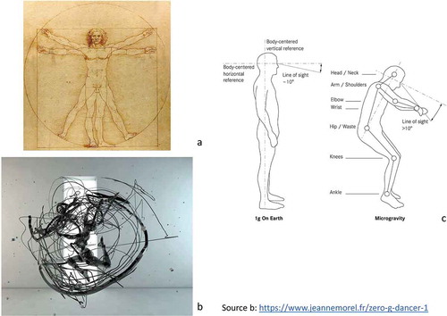 Figure 3. Erect posture in the presence of 1 g gravity as drawn by Da Vinci (a) (Source: Masali et al., Citation2011). Depicted segmental, torsional, and forward movement of body by dancer Jean Morel in the Synesthesia project (Illustrated by Paul Marlier) (b). Hauplik-Meusburger Subtly illustrates the differences (c) (Source: Hauplik-Meusburger, Citation2011, p. 19).