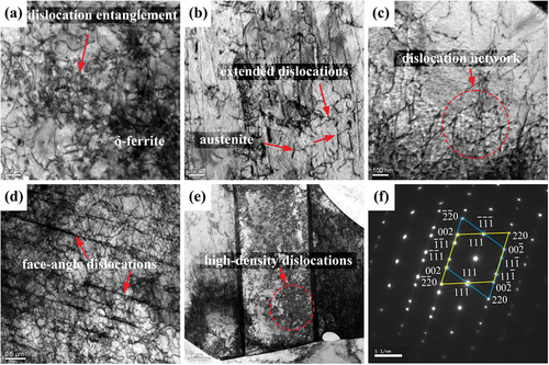 Figure 12. TEM morphology at a deformation level of 3.0mm: (a) dislocation entanglement in δ-ferrite. (b) extended dislocations in austenite. (c) dislocation network. (d) face-angle dislocations. (e) high-density dislocations in annealing twins. (f) diffraction pattern of annealing twins in (e).