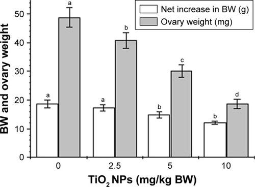 Figure 1 Effects of TiO2 NPs on net increase in BW and ovarian weight after gavage administration for 30 days.Notes: Different letters within the same parameter indicate significant differences between groups (p < 0.05). Values represent mean ± SD (n = 10).Abbreviations: BW, body weight; TiO2 NPs, titanium dioxide nanoparticles.