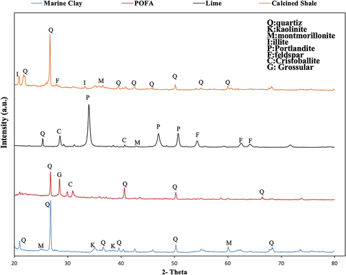 Figure 7. X-Ray diffraction results of marine clay, POFA, Lime and calcined shale.