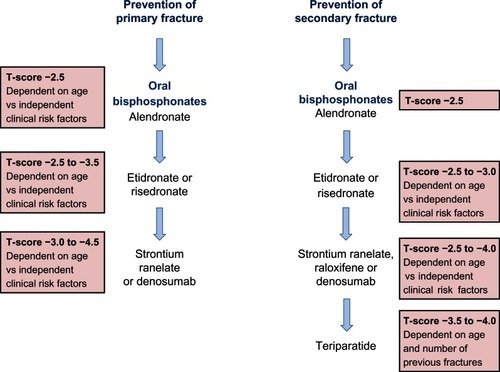 Figure 4 A summary of the National Institute for Clinical Excellence (NICE) guidelines (available at http://publications.nice.org.uk) for the therapeutic management of primary and secondary osteoporotic fractures in postmenopausal women.