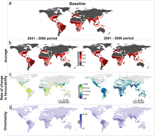 Figure 2. Dengue vector model projections into the future for the periods 2041–2060 and 2061–2080. (a) Vector model for the current time (2001–2017), (b) average model projections into the future for the periods 2041–2060 and 2061–2080, (c) areas where favourability increases and decreases in the future relative to the present. Difference between the future projection and the current model. I: increment rate; M: maintenance rate. Positive values of I indicate a net increase in favourability, that is, a gain in favourable areas, whereas negative values of I mean a net loss of favourable areas. M indicates the degree to which the favourable areas in the current model overlap with the favourable forecasted areas. (d) Uncertainty of the vector model in the period 2041–2060 and 2061–2080. SD: standard deviation. Zoomed maps of a regional scale can be found in the Supplemental Material.