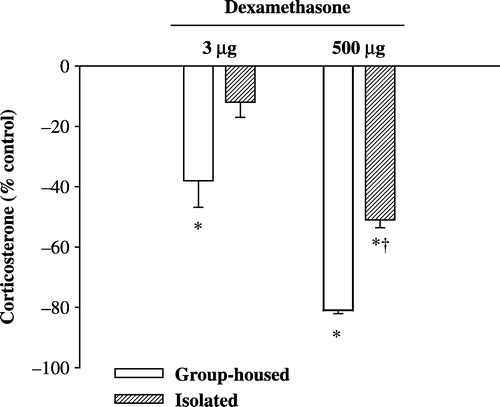 Figure 2 Effect of i.p. dexamethasone on the plasma concentration of corticosterone in socially isolated rats. Rats were housed in groups or in isolation for 30 days. Data represent the plasma concentration of corticosterone expressed as a percentage of the corresponding values for control (saline-injected) rats and are means ± SEM of values from 20 animals. Basal values: group-housed rats, 113 ± 10 ng/ml; isolated rats, 131 ± 14 ng/ml. *P < 0.01 vs corresponding control rats; †P < 0.01 vs corresponding group-housed rats (two-way analysis of variance followed by Newman-Keuls test).