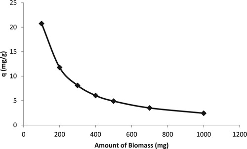 Figure 3. The variation of the q value with change in amount of biomass for Cd(II)-TR system (C0=50 mg/L, 50 mL).