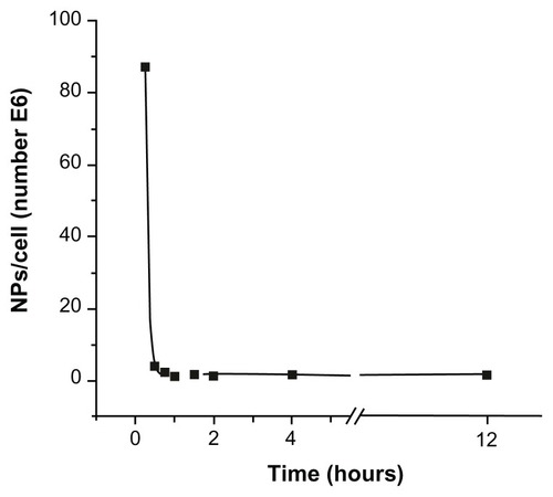 Figure 1 Number of magnetic nanoparticles uploaded per cell as a function of incubation time.Notes: The observed decrease of incorporated magnetic nanoparticles followed an exponential decay, and reached a near-steady state for incubation times longer than 1 hour.Abbreviation: NP, nanoparticles.