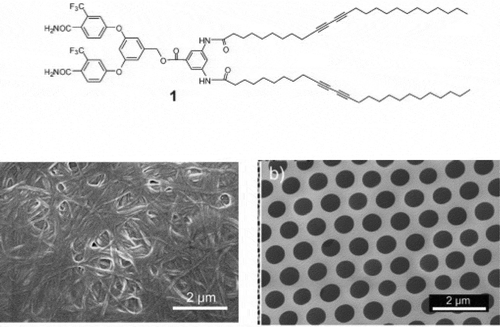 Figure 4. Supramolecular assembly of low-molecular weight compounds for forming honeycomb structures. Top panel shows the chemical structure of the used compound. Bottom panels present SEM images of a dried gel (left) and honeycomb film (right), respectively. Reproduced with permission from [Citation36] (Copyright 2009, Wiley).