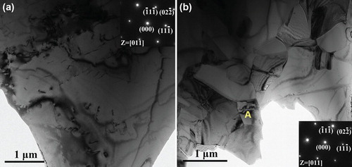 Figure 2. TEM images. (a) Bright-field TEM of a coarse grain with corresponding SAED pattern showing an fcc structure presented in the inset, (b) Bright-field TEM image of some fine grains with SAED pattern corresponding to grain A showing an fcc structure presented in the inset.