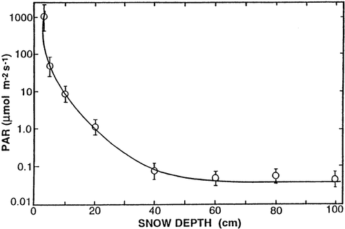Figure 2 Photosynthetic photon flux density (PFD) beneath a given snow depth measured at three different sites on 12–14 June 1991. Each point represents the mean of three measurements at each of the three sites, along with indicated standard deviations. From CitationHamerlynck and Smith (1994). Reproduced with permission of Arctic, Antarctic, and Alpine Research.