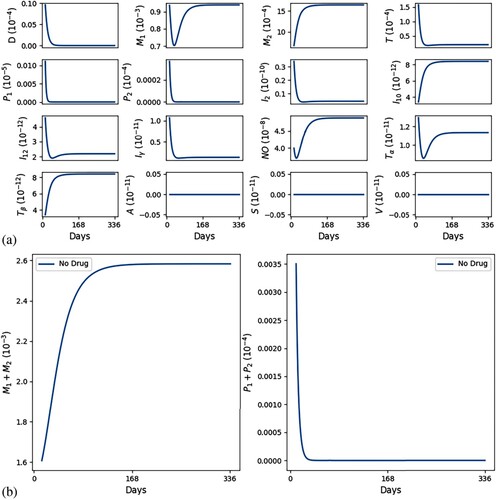 Figure 3. Self-healing; (factor of 3) λNOP1=λNOP2=λIγP1=λIγP2=λTαP1=λTαP2=0.186, λNOP2=1.67. (a) All variables with self-healing and (b) all macrophages and parasites with self-healing.