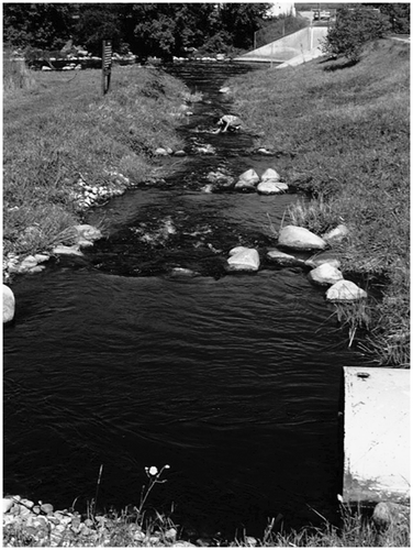 Figure 43 The pool and riffle fishway on the Rapid City, MB, water supply dam on the Little Saskatchewan River was constructed in 1992. A wide range of freshwater fish burst over the short riffles and pause in the deeper pools as they ascend the ladder (Gaboury et al. Citation1995). A horizontal pipe (right of figure) passes under the dam crest to the reservoir.