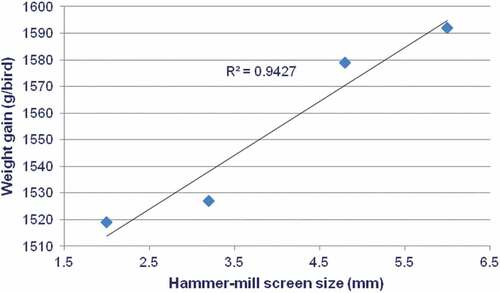 Figure 1. Linear relationship (r = 0.971; P = 0.029) between hammer-mill screen-size and weight gain of broiler chickens offered Tiger sorghum-based diets.