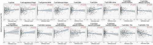 Figure 5. The correlation of MALAT1 expression with T cells. The expression of MALAT1 was significantly positively correlated with T-cell NK, Tregs, T-cell follicular helper, T-cell CD8+, T-cell CD4+, T-cell CD4+ (nonregulatory), T-cell CD4+ naïve, T-cell CD4+ central memory, and T-cell CD4+ effector memory except for T-cell CD4+ memory activated and T-cell CD4+ Th2 (negative correlation) in BLCA