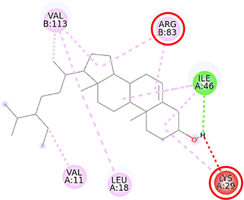 Figure 12 2D molecular interaction of β-sitosterol in the AMPK allosteric activator binding site (PDB ID 4CFF), visualized by employing the Discovery Studio Visualizer 4.0. Red circles indicate important amino acid residues (Lys29, Arg83). Alpha-helices are shown in red color, beta-sheets are shown in blue color, and the loops and turns are colored grey. Green dashed lines indicate hydrogen bonds. Pink dashed lines indicate pi-alkyl hydrophobic interaction.