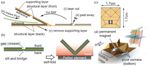 Figure 30. Self-folding using SMPs: (a) fabrication of self-folding element consisting of PVC (SMP material), adhesive and supporting layers, (b) architecture and activation of self-folding element, (c) fold pattern of self-folding origami robot, (d) folded origami robot. Figure reprinted with permission from [Citation167].